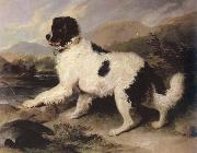 Sir Edwin Landseer, lion a newfoundland dog